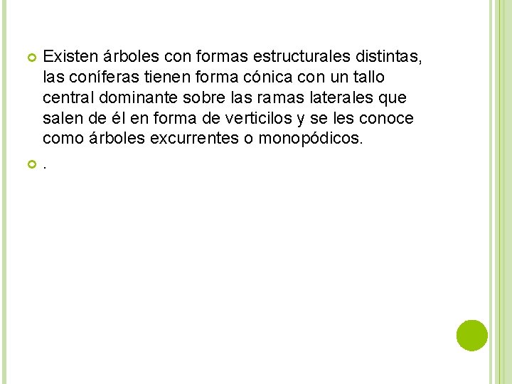 Existen árboles con formas estructurales distintas, las coníferas tienen forma cónica con un tallo