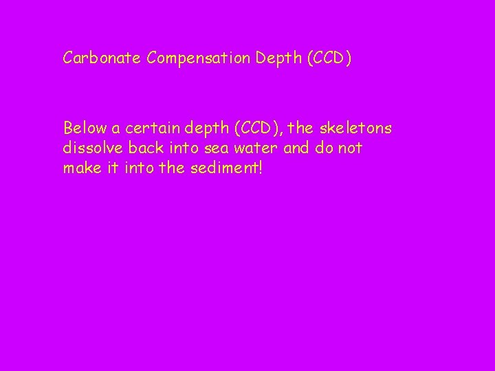 Carbonate Compensation Depth (CCD) Below a certain depth (CCD), the skeletons dissolve back into