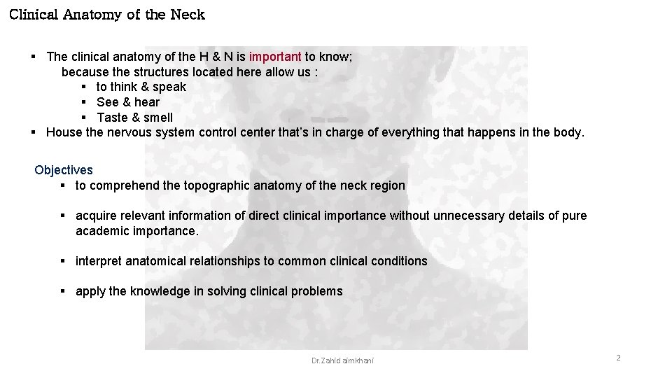 Clinical Anatomy of the Neck § The clinical anatomy of the H & N