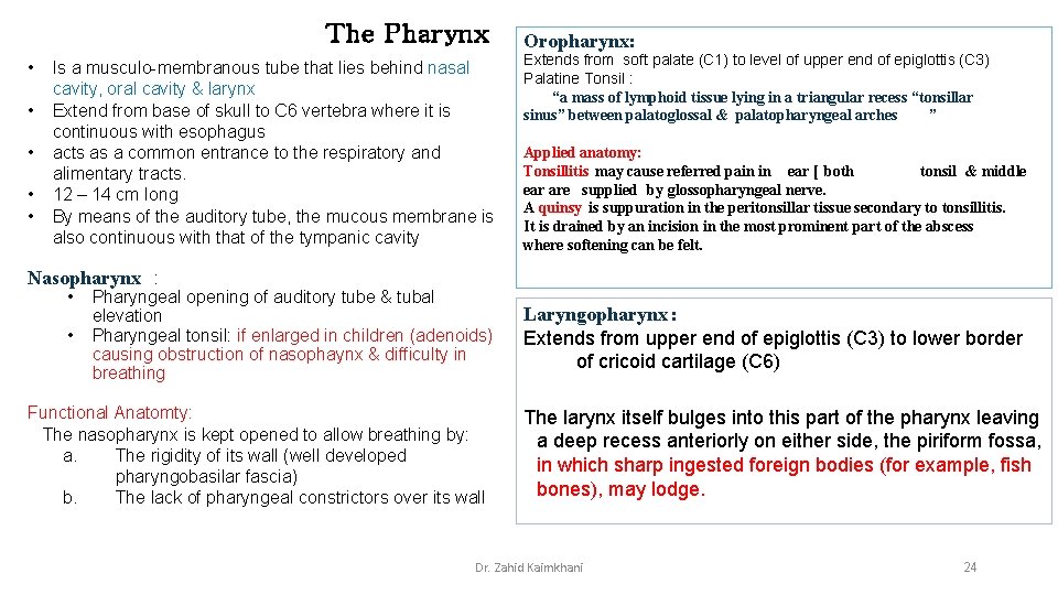 The Pharynx • • • Is a musculo-membranous tube that lies behind nasal cavity,