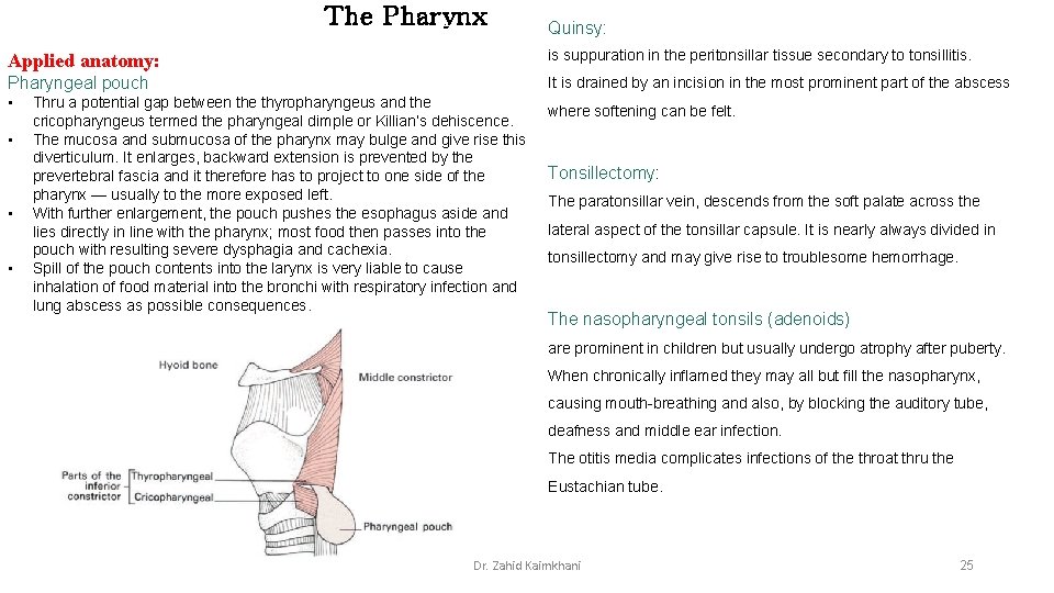 The Pharynx Quinsy: Applied anatomy: is suppuration in the peritonsillar tissue secondary to tonsillitis.