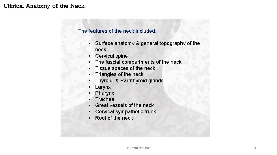 Clinical Anatomy of the Neck The features of the neck included: • Surface anatomy