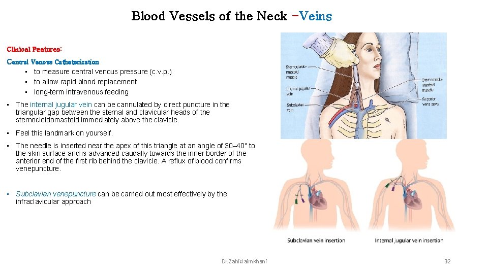 Blood Vessels of the Neck -Veins Clinical Features: Central Venous Catheterization • to measure