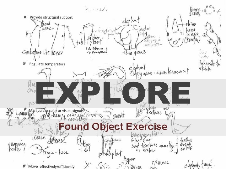 Integrating BioInspired Design into the Science Classroom 1