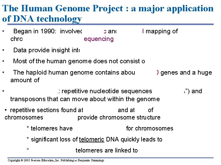 The Human Genome Project : a major application of DNA technology • Began in
