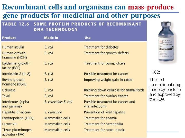 Recombinant cells and organisms can mass-produce gene products for medicinal and other purposes 1982: