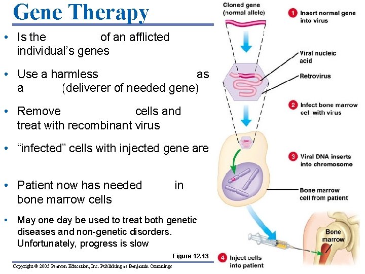 Gene Therapy • Is the alteration of an afflicted individual’s genes • Use a