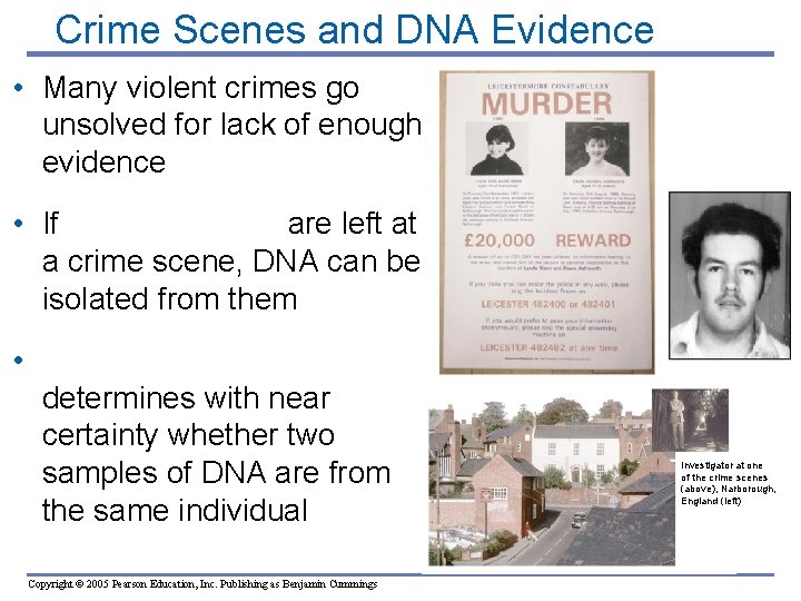 Crime Scenes and DNA Evidence • Many violent crimes go unsolved for lack of