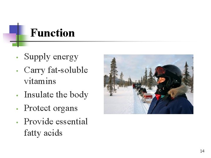 Function • • • Supply energy Carry fat-soluble vitamins Insulate the body Protect organs