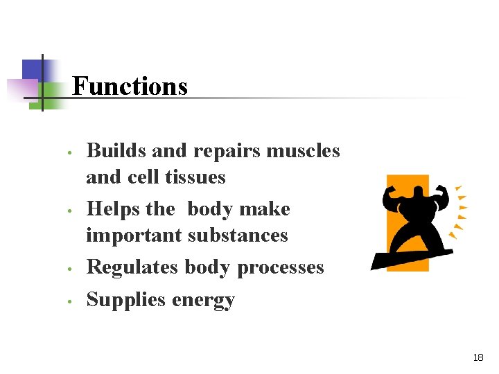 Functions • • Builds and repairs muscles and cell tissues Helps the body make