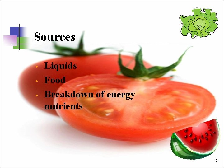 Sources • • • Liquids Food Breakdown of energy nutrients 9 