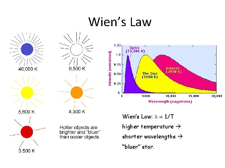 Wien’s Law: 1/T higher temperature shorter wavelengths “bluer” star. 