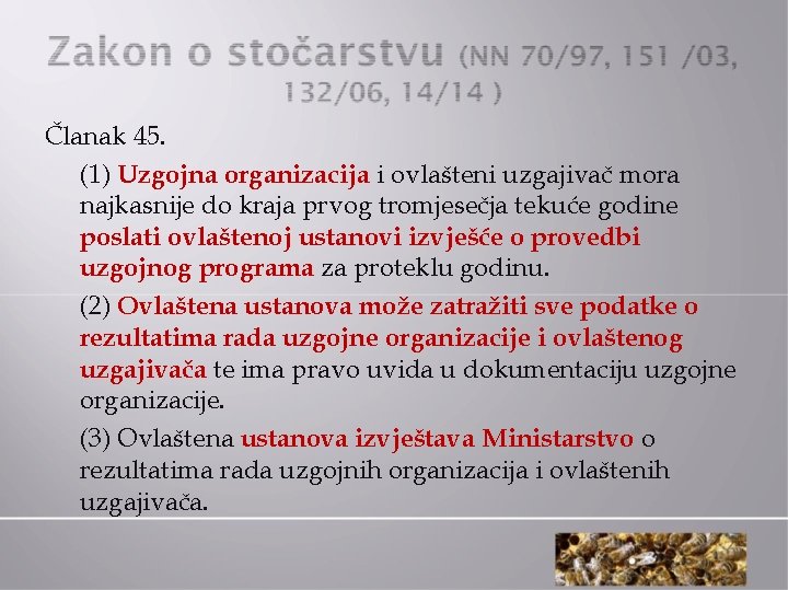 Članak 45. (1) Uzgojna organizacija i ovlašteni uzgajivač mora najkasnije do kraja prvog tromjesečja