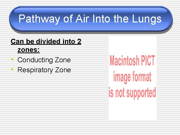 Pathway of Air Into the Lungs Can be divided into 2 zones: • Conducting