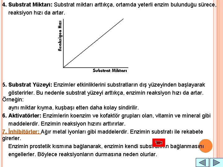 4. Substrat Miktarı: Substrat miktarı arttıkça, ortamda yeterli enzim bulunduğu sürece, reaksiyon hızı da