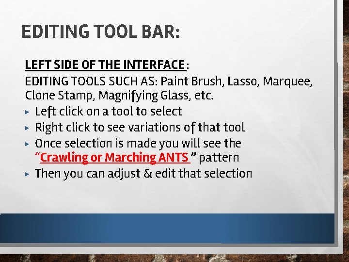 EDITING TOOL BAR: LEFT SIDE OF THE INTERFACE : EDITING TOOLS SUCH AS: Paint