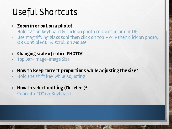 Useful Shortcuts ▶ • • ▶ • ▶ • Zoom in or out on