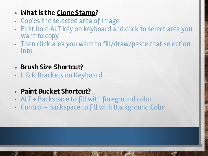 ▶ • • • ▶ • • What is the Clone Stamp? Copies the