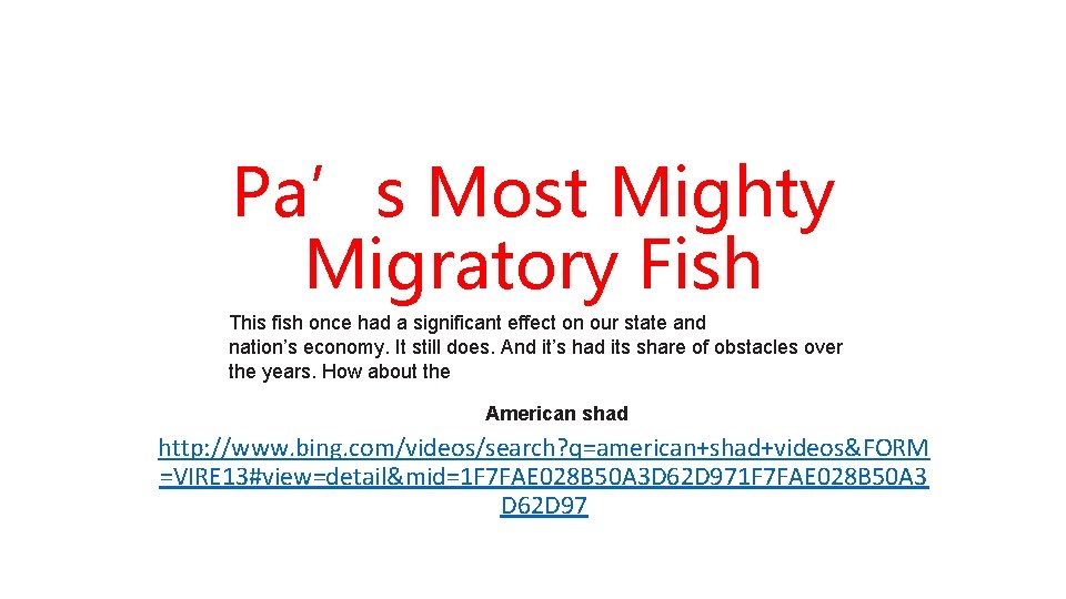 Pa’s Most Mighty Migratory Fish This fish once had a significant effect on our