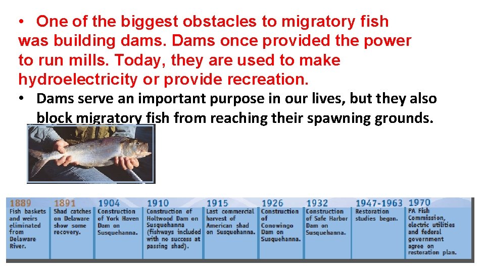  • One of the biggest obstacles to migratory fish was building dams. Dams