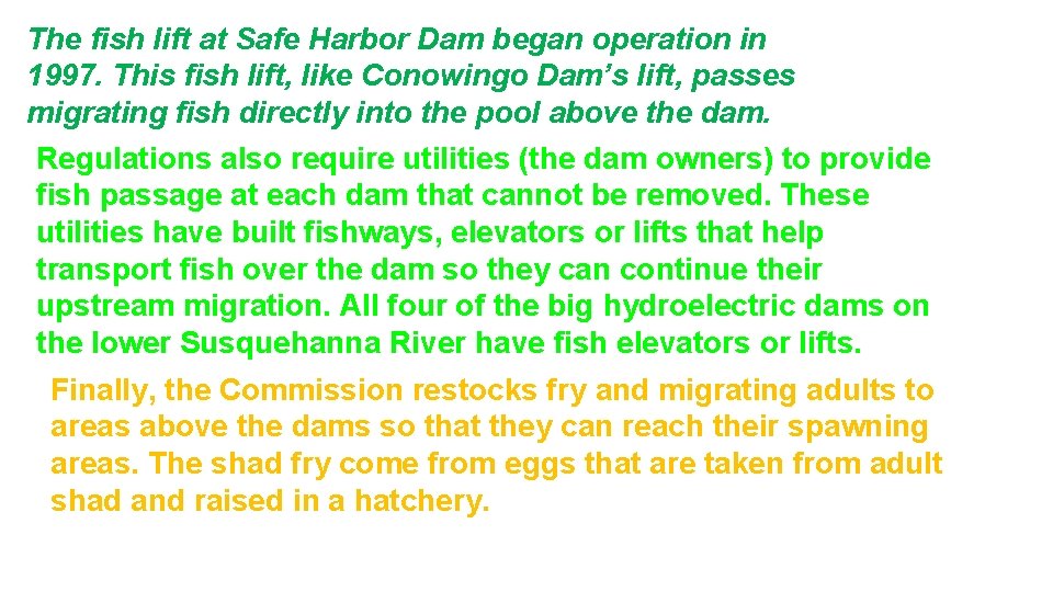The fish lift at Safe Harbor Dam began operation in 1997. This fish lift,