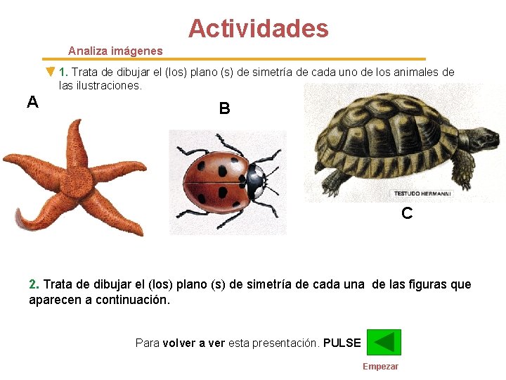 Actividades Analiza imágenes 1. Trata de dibujar el (los) plano (s) de simetría de