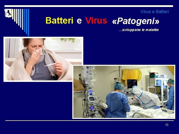 Virus e Batteri e Virus «Patogeni» …sviluppano le malattie 10 