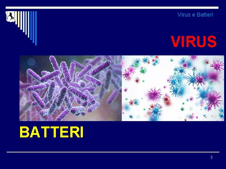 Virus e Batteri VIRUS BATTERI 3 