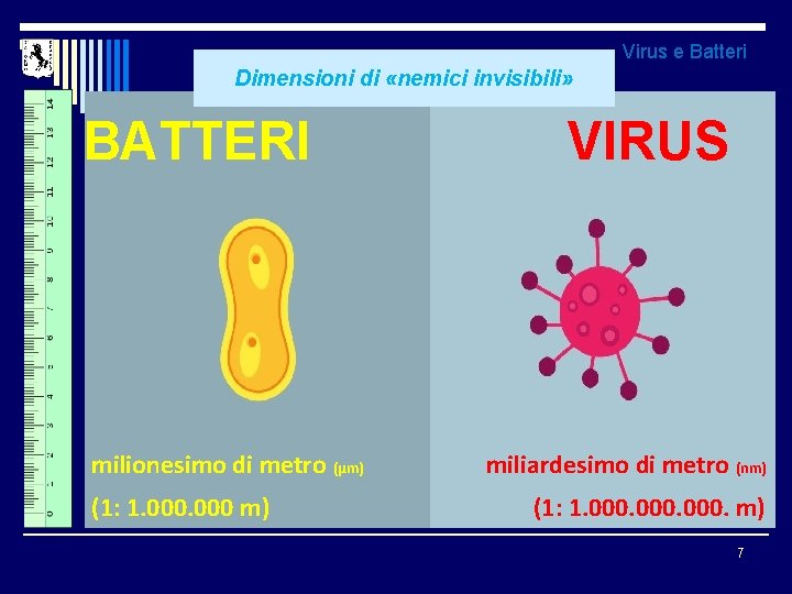 Virus e Batteri Dimensioni di «nemici invisibili» BATTERI milionesimo di metro (µm) (1: 1.