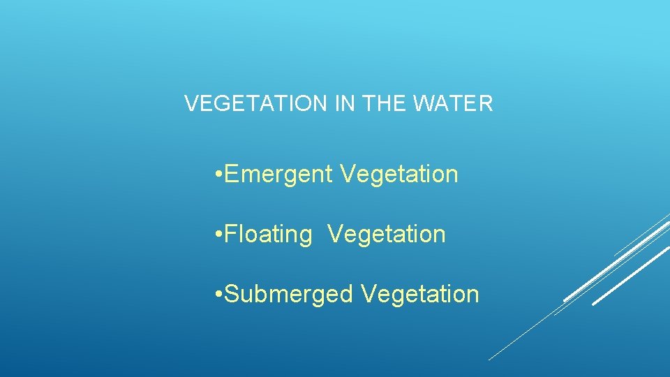 VEGETATION IN THE WATER • Emergent Vegetation • Floating Vegetation • Submerged Vegetation 