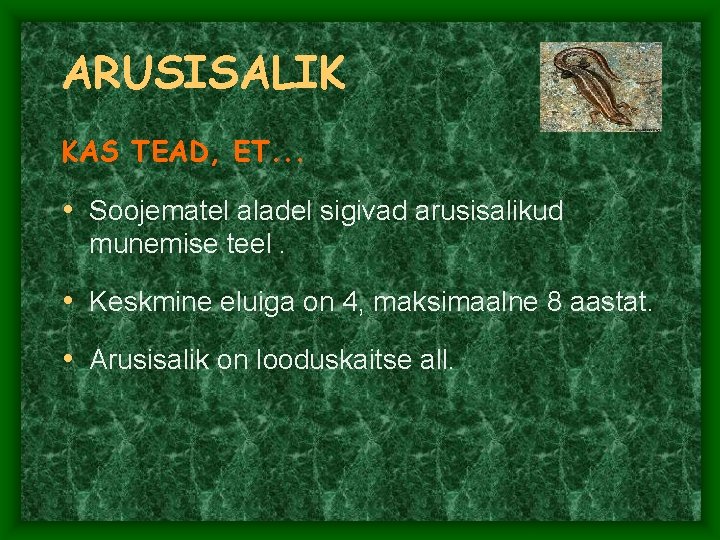 ARUSISALIK KAS TEAD, ET. . . • Soojematel aladel sigivad arusisalikud munemise teel. • ARUSISALIK KAS TEAD, ET. . . • Soojematel aladel sigivad arusisalikud munemise teel. •