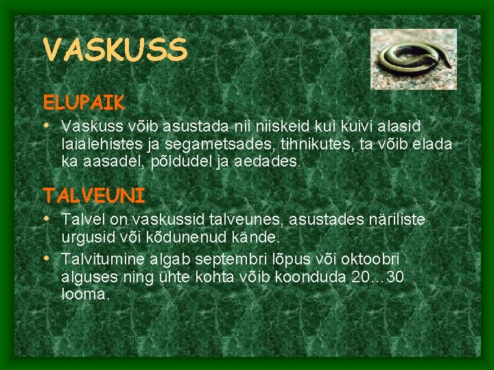VASKUSS ELUPAIK • Vaskuss võib asustada niiskeid kuivi alasid laialehistes ja segametsades, tihnikutes, ta VASKUSS ELUPAIK • Vaskuss võib asustada niiskeid kuivi alasid laialehistes ja segametsades, tihnikutes, ta
