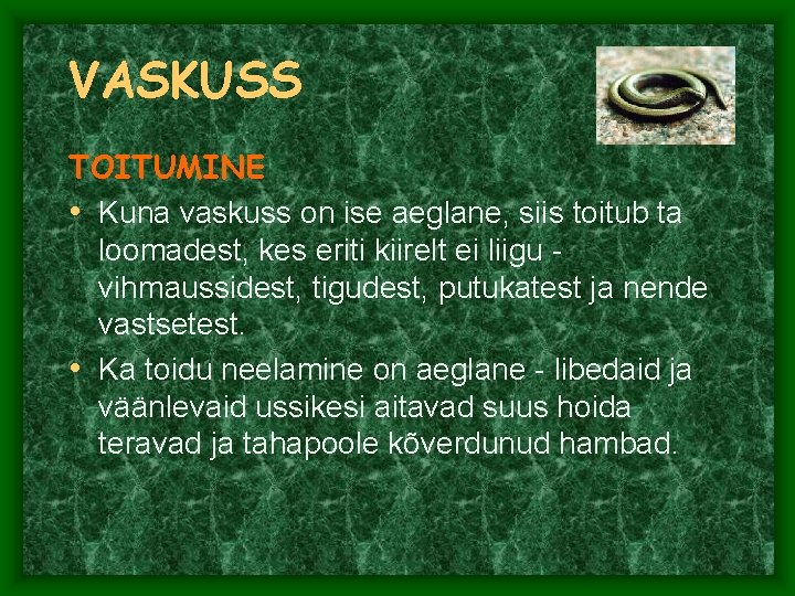VASKUSS TOITUMINE • Kuna vaskuss on ise aeglane, siis toitub ta loomadest, kes eriti VASKUSS TOITUMINE • Kuna vaskuss on ise aeglane, siis toitub ta loomadest, kes eriti