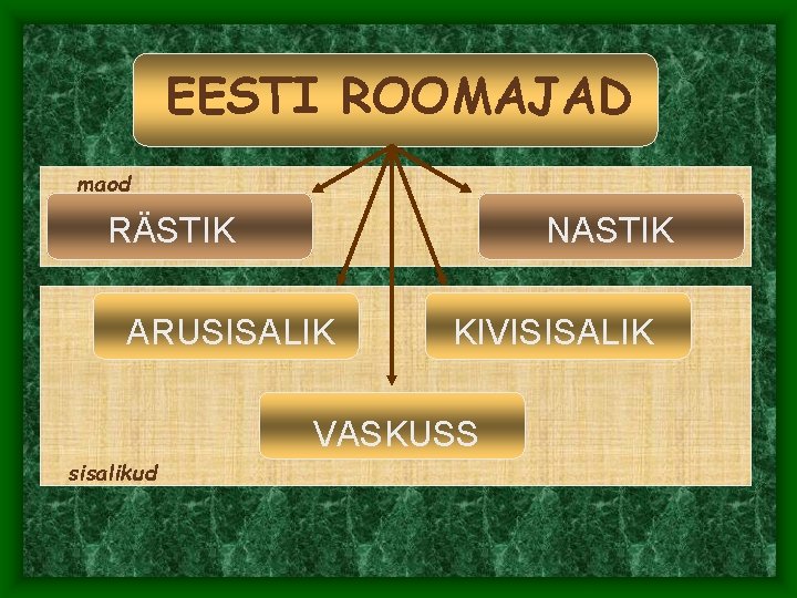 EESTI ROOMAJAD maod RÄSTIK NASTIK ARUSISALIK KIVISISALIK VASKUSS sisalikud EESTI ROOMAJAD maod RÄSTIK NASTIK ARUSISALIK KIVISISALIK VASKUSS sisalikud