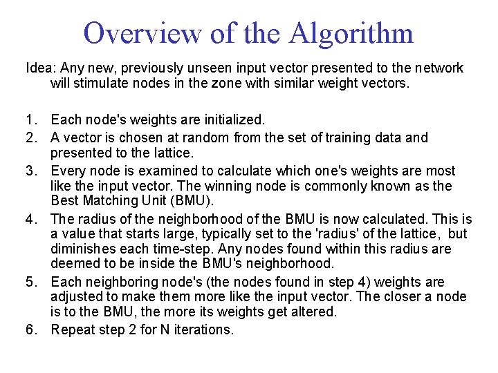 Overview of the Algorithm Idea: Any new, previously unseen input vector presented to the