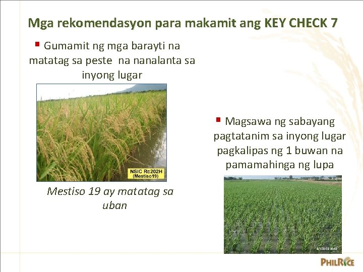 Mga rekomendasyon para makamit ang KEY CHECK 7 § Gumamit ng mga barayti na Mga rekomendasyon para makamit ang KEY CHECK 7 § Gumamit ng mga barayti na