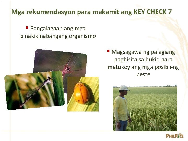 Mga rekomendasyon para makamit ang KEY CHECK 7 § Pangalagaan ang mga pinakikinabangang organismo Mga rekomendasyon para makamit ang KEY CHECK 7 § Pangalagaan ang mga pinakikinabangang organismo