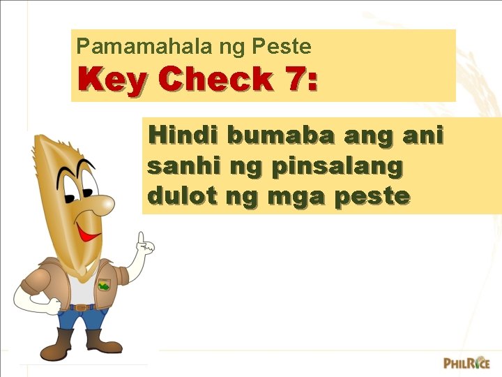 Pamamahala ng Peste Key Check 7: Hindi bumaba ang ani sanhi ng pinsalang dulot