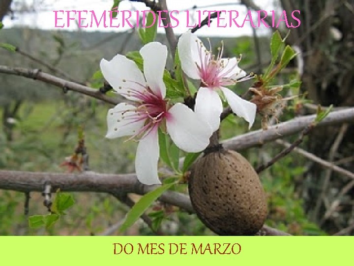 EFEMÉRIDES LITERARIAS DO MES DE MARZO EFEMÉRIDES LITERARIAS DO MES DE MARZO