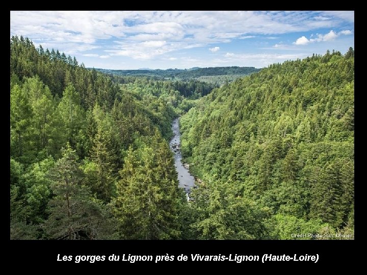 Les gorges du Lignon près de Vivarais-Lignon (Haute-Loire) 