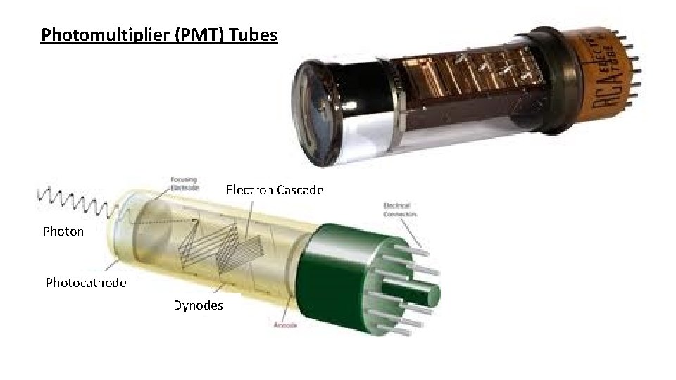 Photomultiplier (PMT) Tubes Electron Cascade Photon Photocathode Dynodes 