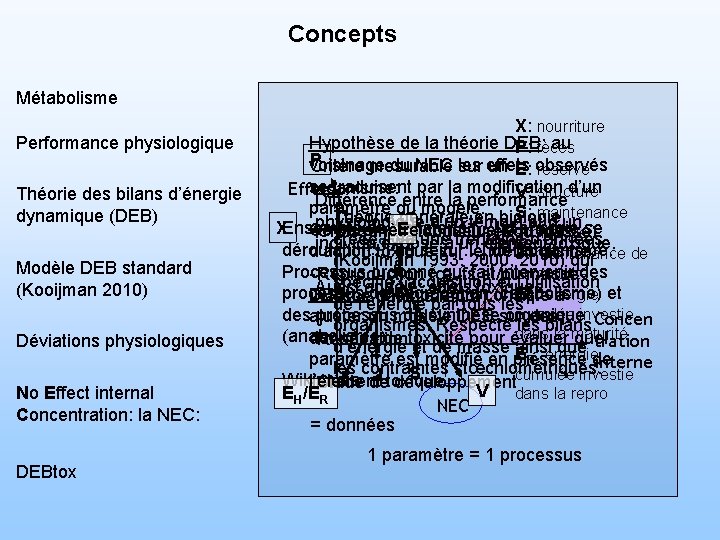 Concepts Métabolisme Performance physiologique Théorie des bilans d’énergie dynamique (DEB) Modèle DEB standard (Kooijman