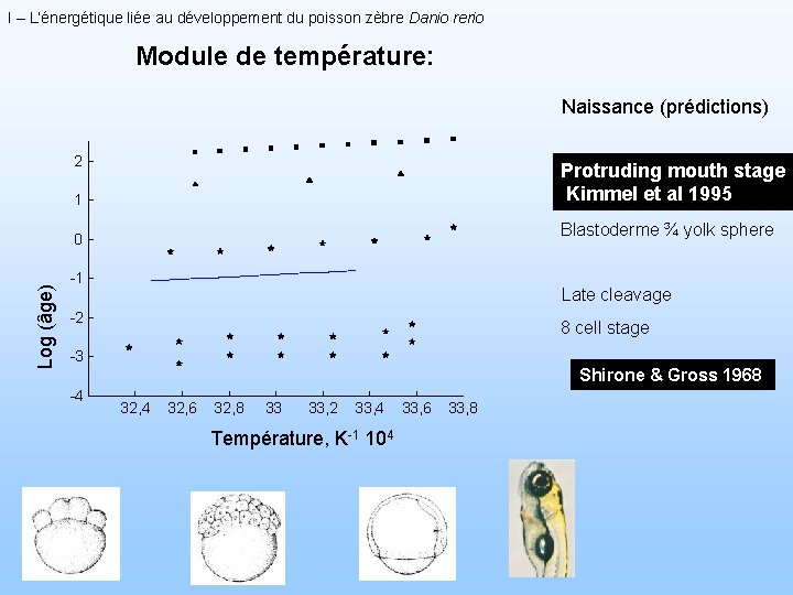 I – L’énergétique liée au développement du poisson zèbre Danio rerio Module de température: