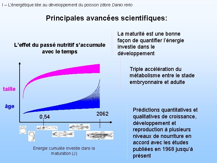 I – L’énergétique liée au développement du poisson zèbre Danio rerio Principales avancées scientifiques: