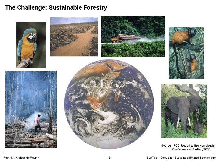 The Challenge: Sustainable Forestry Source: IPCC Report to the Marrakesh Conference of Parties, 2001
