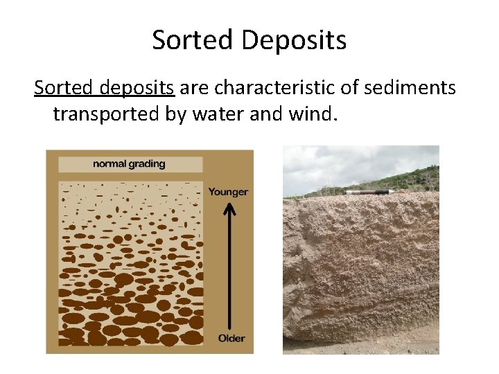 Sorted Deposits Sorted deposits are characteristic of sediments transported by water and wind. 