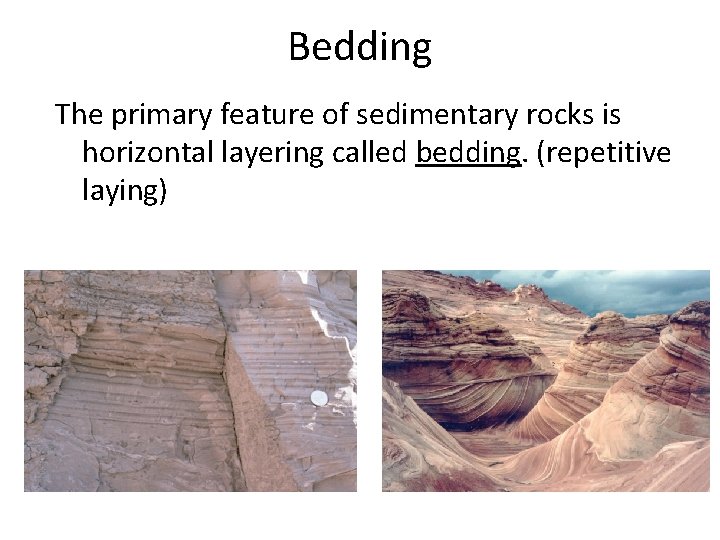 Bedding The primary feature of sedimentary rocks is horizontal layering called bedding. (repetitive laying)