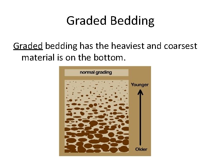 Graded Bedding Graded bedding has the heaviest and coarsest material is on the bottom.
