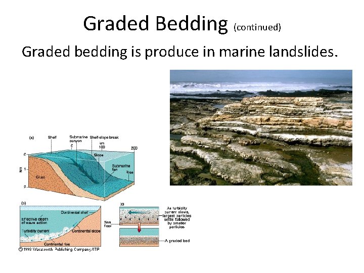 Graded Bedding (continued) Graded bedding is produce in marine landslides. 