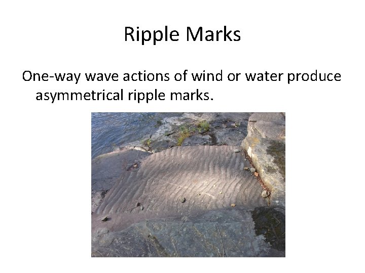 Ripple Marks One-way wave actions of wind or water produce asymmetrical ripple marks. 
